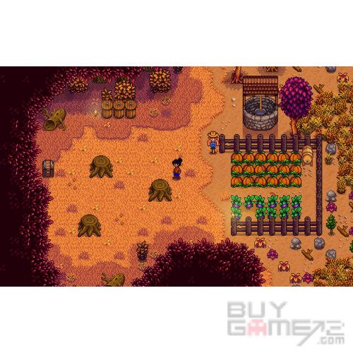 Stardew Valley 日本限定版