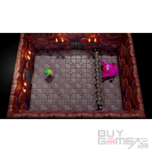 The Legend of Zelda: Link’s Awakening HK Special