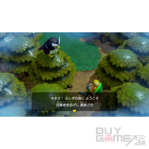 The Legend of Zelda: Link’s Awakening HK Special