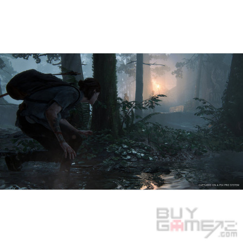 The Last of Us Part 2 香港版