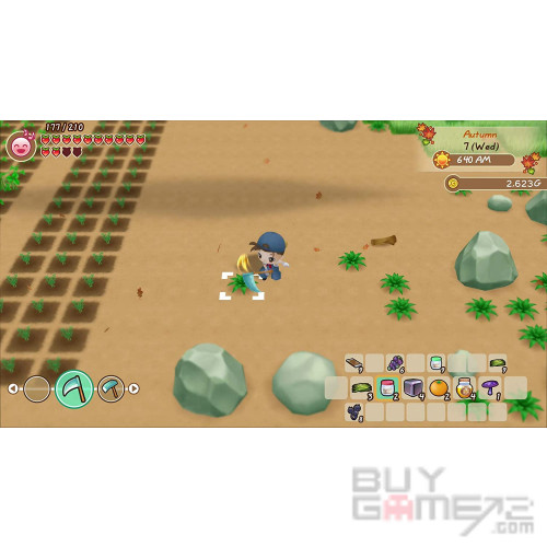 Story of Seasons~ Friends of Mineral Town European