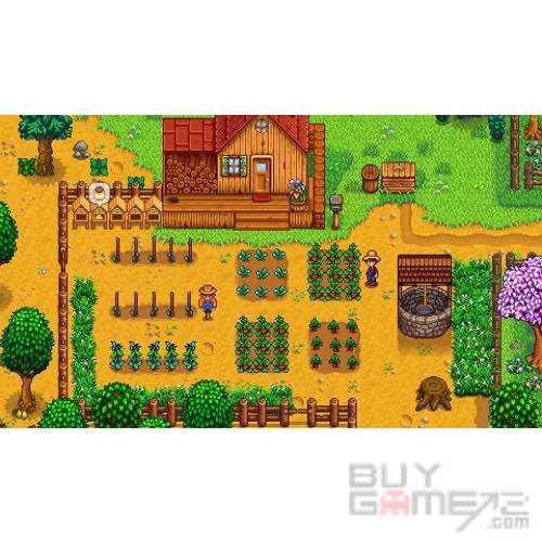 Stardew Valley 美國版