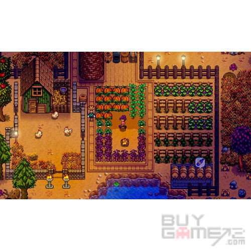 Stardew Valley 美國版
