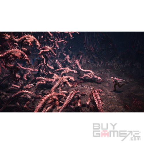Devil May Cry 5 Special Edition 香港版