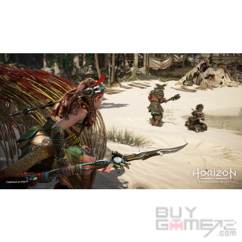 Horizon Forbidden West (收藏版) 香港限定版