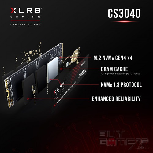 PNY XLR8 CS3040 M2 2280 NVMe Geb 4x4 SSD (2TB) Hong Kong