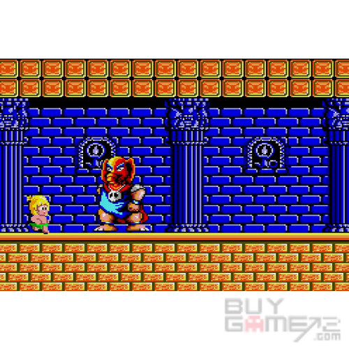 NS) Wonder Boy Ultimate Collection 日版
