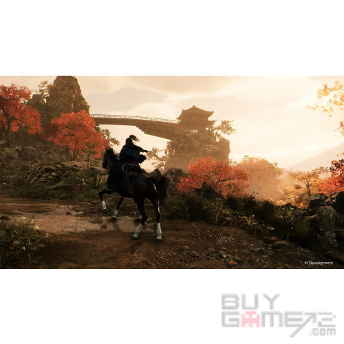 Rise of the Ronin US
