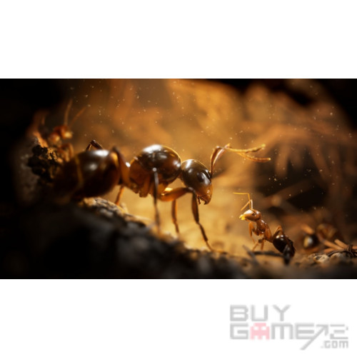 Empire of the Ants Japanese